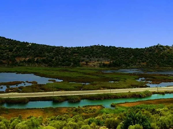 Kuş 3