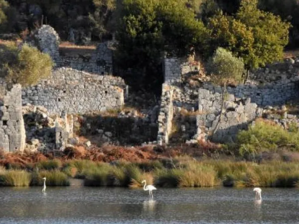 Kuş 4