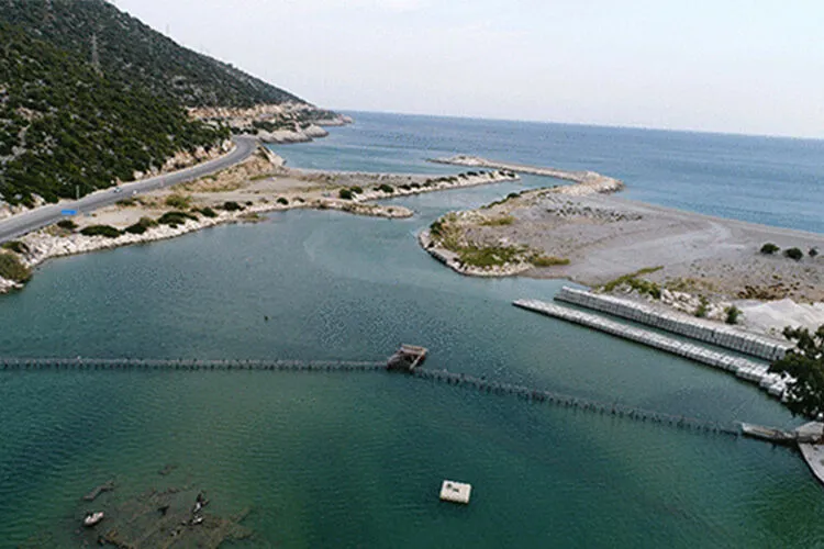 Lagün